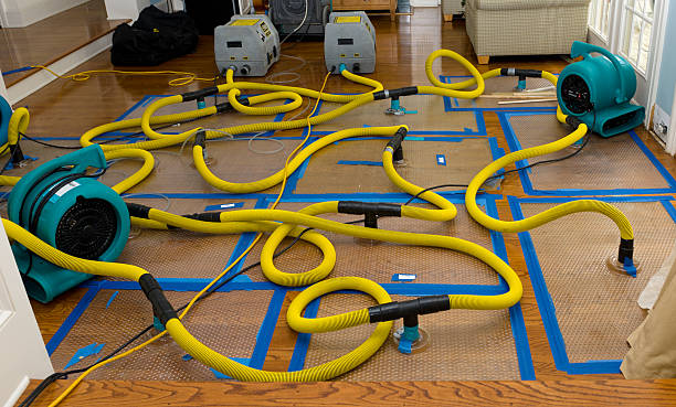 Professional Basement Flood Cleanup technician working in Detroit, AL